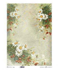 Ριζόχαρτο "daises" 42x29.7εκ.   (ITD-R075L)