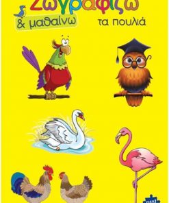 Next βιβλίο ζωγραφίζω και μαθαίνω "Τα πουλιά" 21x29εκ., 12 σελίδες