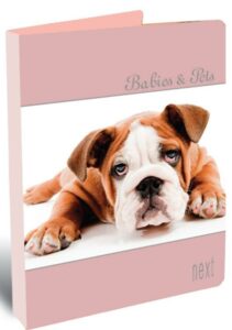 Next κλασέρ διάφορα σχέδια με 2 κρίκους Υ26x32x3εκ.