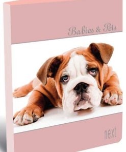 Next κλασέρ διάφορα σχέδια με 2 κρίκους Υ26x32x3εκ.