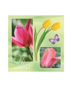 Χαρτοπετσέτες 20τεμ. "τουλίπες" 33x33εκ. (SDOG 003801)