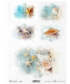 Ριζόχαρτο "ocean shells" 21x29.7εκ.   (ITD-R1611)