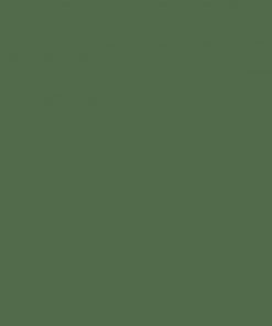 Χαρτόνι κολάζ πράσινο σκούρο 70x100εκ. 220γρ.