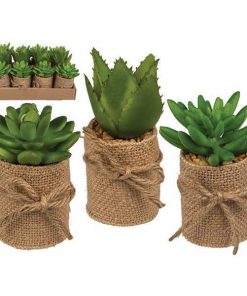 Γλαστράκια με τεχνητά παχύφυτα σε 3 σχέδια Υ10x5εκ.