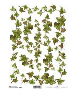 Ριζόχαρτο "ivy" 21x29εκ.   (ITD-R321)