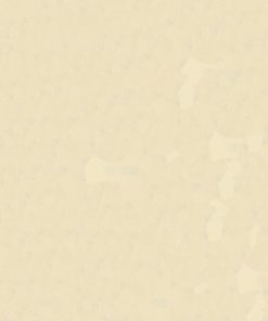 Χαρτόνι φωτοαντ. κρεμ Α4 160γρ. 250φ.