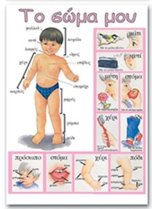 Next εκπαιδευτική αφίσα "Το σώμα μου" Ελληνικά 50x70εκ.