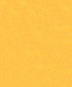 Χαρτόνι φωτοαντ. αν. πορτοκαλί Α4 160γρ. 250φ.