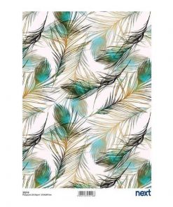 Next ριζόχαρτο "peacock feather" 21x29εκ.
