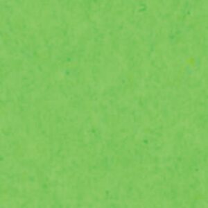 Χαρτόνι λαχανί 70x100εκ. 160γρ.