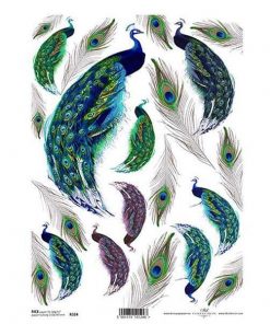 Ριζόχαρτο "peecock" 21x29εκ.   (ITD-R324)