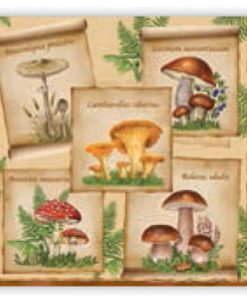 Χαρτοπετσέτες 20τεμ. "μανιτάρια" 33x33εκ. (SLOG014901)