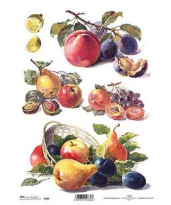 Ριζόχαρτο "fruits" 21x29εκ.   (ITD-R397)