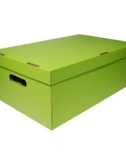 Νext κουτί colors λαχανί Α3 Υ19x50x31εκ.