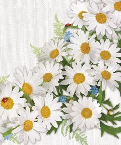 Χαρτοπετσέτες 20τεμ. "μαργαρίτες" 33x33εκ. (SD WI 003301)