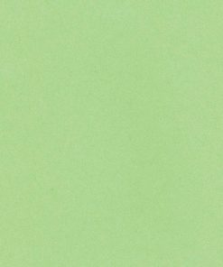 Χαρτί φωτοαντ. πράσινο, Α4, 80γρ, 500φ.