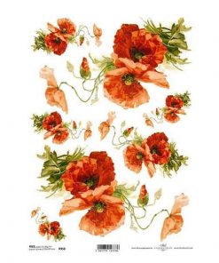 Ριζόχαρτο "red anemone" 21x29εκ.   (ITD-R958)