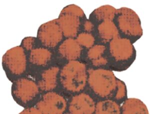 Πομ πομ 2εκ. καφέ 100 τεμάχια