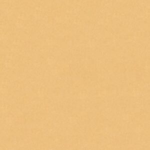 Χαρτόνι κολάζ μπεζ άμμου 70x100εκ. 220γρ.