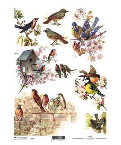 Ριζόχαρτο "birds" 21x29εκ.   (ITD-R325)