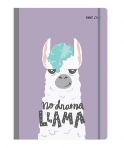 Next trends lama τετράδιο flexi λάστιχο 21x29εκ. 2θεμ. 80φ.