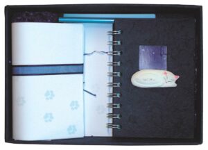 Σετ αλληλογραφίας "Γατάκι"