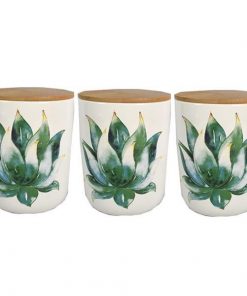Βαζάκι κεραμικό κάκτος με καπάκι μπαμπού, σετ 3τμχ Υ12x10εκ.