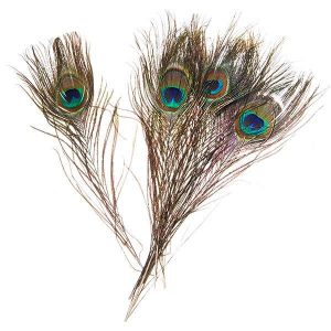 Φτερά παγωνιού μήκος 25-30 εκ. συσκ. 6 τεμ. σε blister