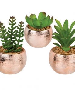 Γλαστράκια με τεχνητά παχύφυτα σε 3 σχέδια 10 xΥ18εκ.