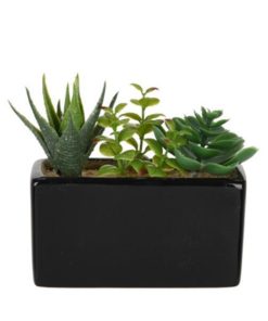 Τεχνητό παχύφυτο II σε ορθογώνια κεραμική γλάστρα Υ14x15x8εκ.