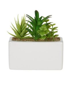 Τεχνητό παχύφυτο II σε ορθογώνια κεραμική γλάστρα Υ14x15x8εκ.