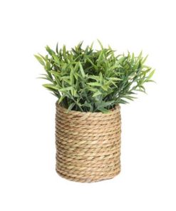 Τεχνητό φυτό ΙΙΙΙ  Ø17xY22εκ.σε γλάστρα Ø11xΥ11,5εκ.