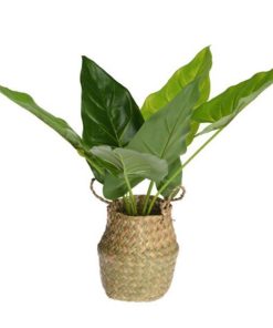 Τεχνητό φυτό μπανανιά ύψους 46εκ. σε ψάθινο καλάθι