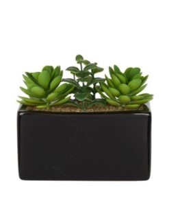 Τεχνητό παχύφυτο III σε ορθογώνια κεραμική γλάστρα Υ14x15x8εκ.