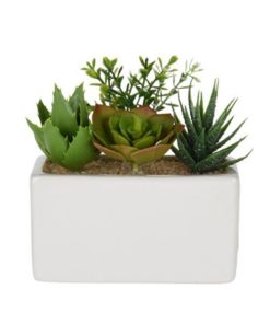 Τεχνητό παχύφυτο III σε ορθογώνια κεραμική γλάστρα Υ14x15x8εκ.