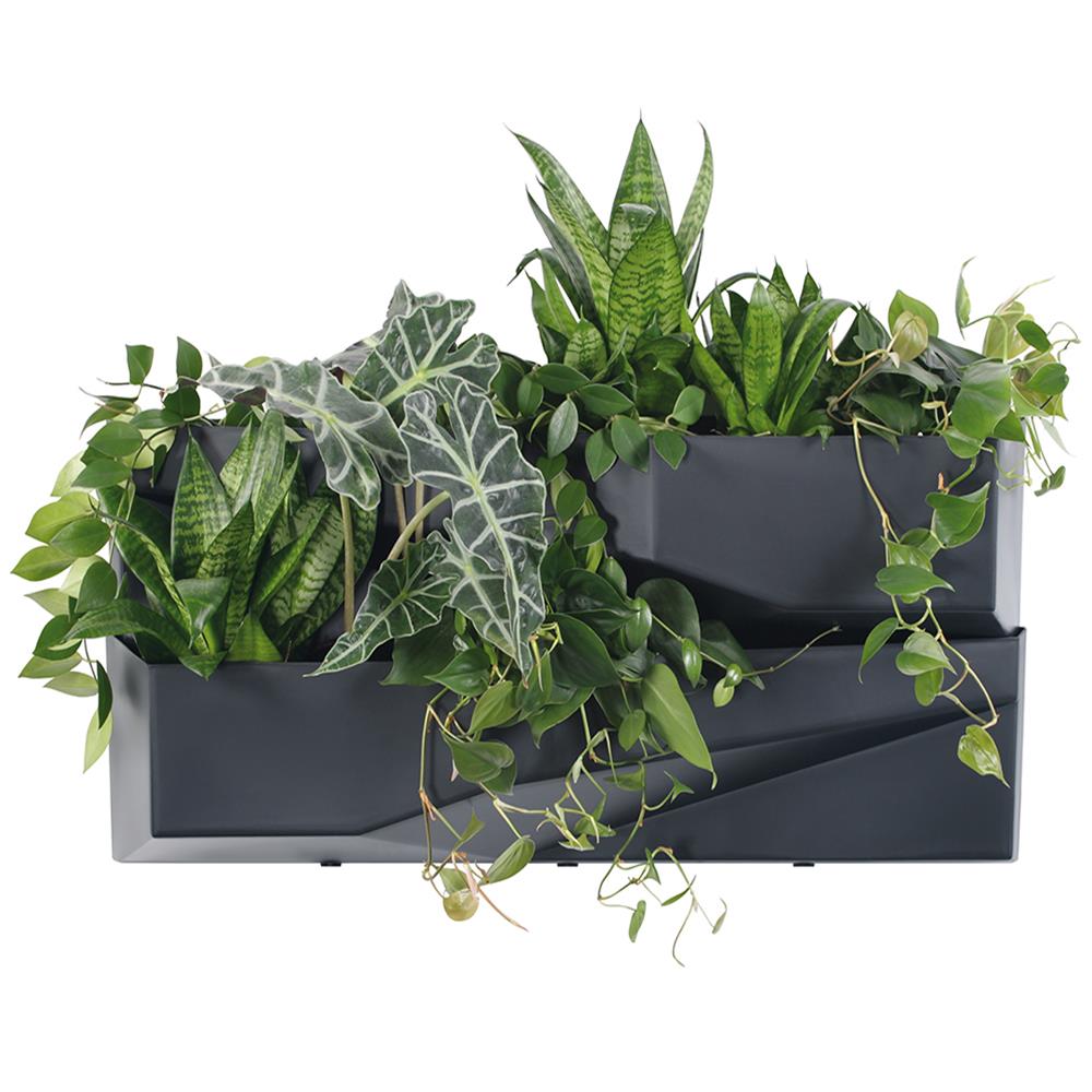 Ζαρντινιέρα Τοίχου 2 επιπέδων ανθρακί Υ35x78x19εκ. - Image 2