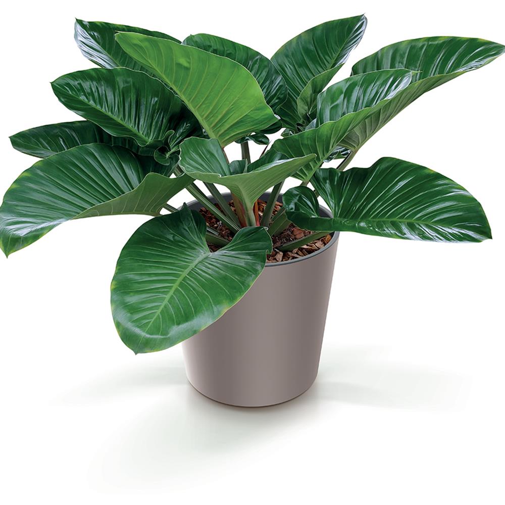 Γλάστρα-κασπώ Urbi mocca Y29,5xΦ30εκ - Image 4