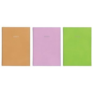 Next ημερολόγιο 2025 status ημερήσιο δετό 17x25εκ.