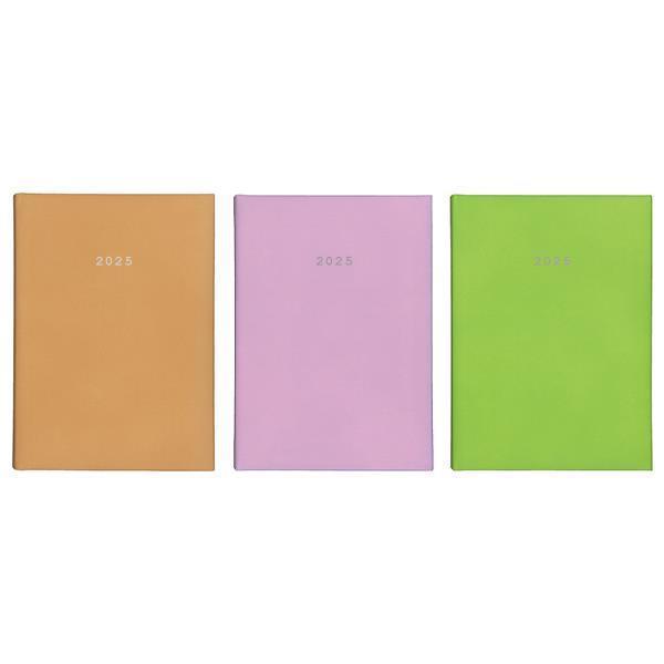 Next ημερολόγιο 2025 status ημερήσιο δετό 17x25εκ.