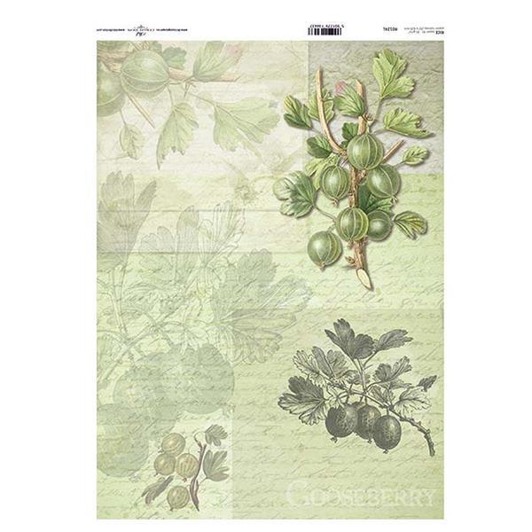 Ριζόχαρτο "gooseberry" 42x29.7εκ. (ITD-R124L) - Image 2