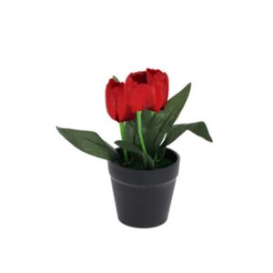 Τουλίπα κόκκινη τεχνητή Υ22x7x7εκ.  σε μαύρη γλάστρα