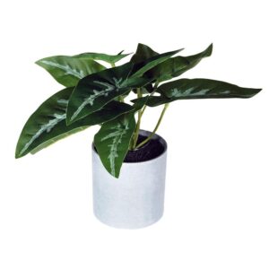 Φυτό τεχνητό φυλλόδεντρο 18εκ., σε γκρι πλαστικό γλαστράκι Ø8xΥ8εκ.