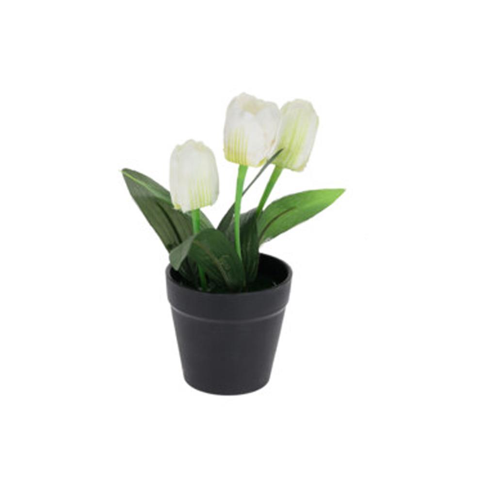 Τουλίπα λευκή τεχνητή Υ22x7x7εκ. σε μαύρη γλάστρα