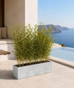 Ζαρντινιέρα ανοιχτό γκρι beton effect Y19,5x58x18εκ. - Image 2