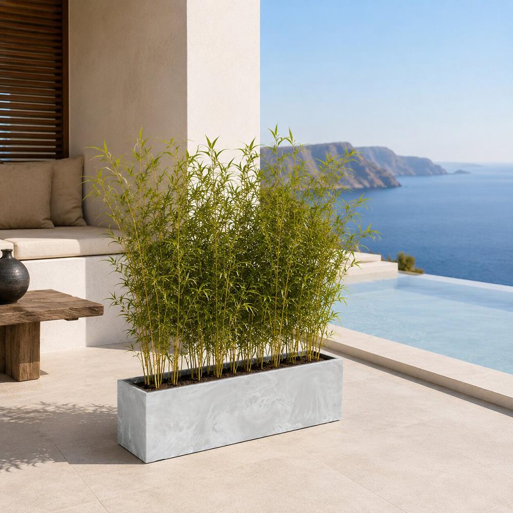 Ζαρντινιέρα ανοιχτό γκρι beton effect Y19,5x58x18εκ. - Image 2